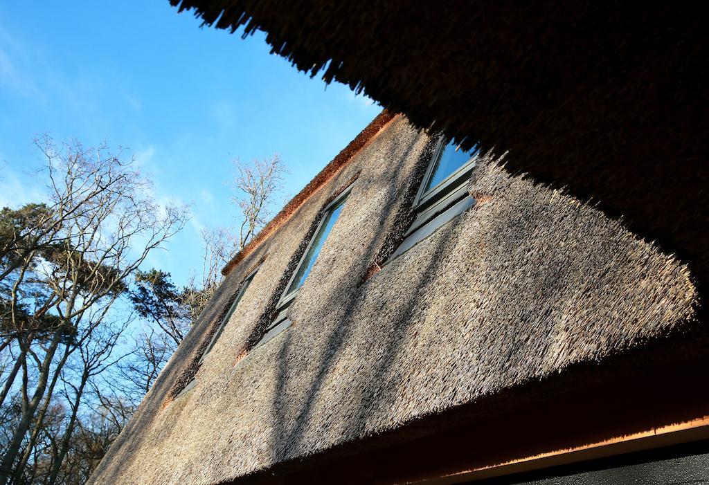 Loft 49 Bed & Breakfast Bergen Bagian luar foto